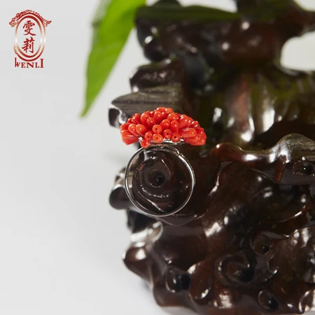 Wenli Jewelry Coral Ring Gemstone Red Coral Woven Ring Colored Treasure Coral Ring Birth Year Red Birthday Gift for Mother, Wife and Girlfriend Wenli Jewelry Coral Ring Gemstone Red Coral Woven Ring Colored Treasure Coral Ring Birth Year Red Birthday Gift for Mother, Wife and Girlfriend