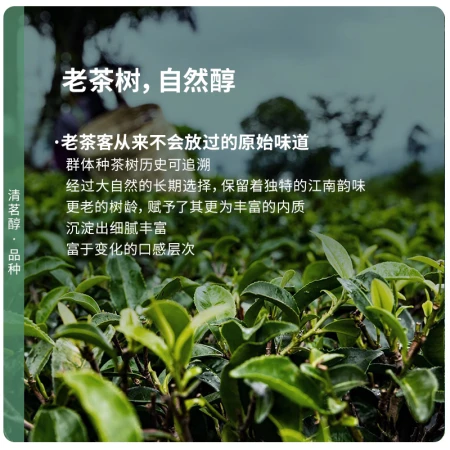 Lu Zhenghao tea 2023 new tea pre-sale green tea first-class Qiantang Longjing tea spring tea traditional paper bag 200g Lu Zhenghao tea 2023 new tea pre-sale green tea first-class Qiantang Longjing tea spring tea traditional paper bag 200g