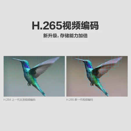 EZVIZ S6 sports camera voice control smart camera 4K HD vlog shooting outdoor aerial photography diving anti-shake bluetooth remote control camera space gray EZVIZ S6 sports camera voice control smart camera 4K HD vlog shooting outdoor aerial photography diving anti-shake bluetooth remote control camera space gray