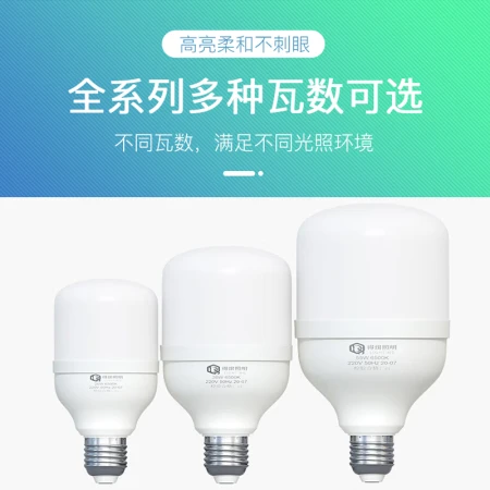 Defu led bulb home energy-saving lamp indoor lighting factory high-power screw E27 bulb 20W -E27 screw-1 pack Defu led bulb home energy-saving lamp indoor lighting factory high-power screw E27 bulb 20W -E27 screw-1 pack