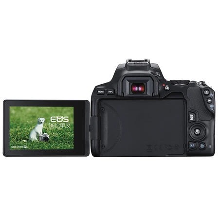 Canon CanonEOS 200D II 200D2 Mini SLR Camera 18-55 Standard Zoom Lens Kit Black About 24.1 Megapixels/4K Video Canon CanonEOS 200D II 200D2 Mini SLR Camera 18-55 Standard Zoom Lens Kit Black About 24.1 Megapixels/4K Video