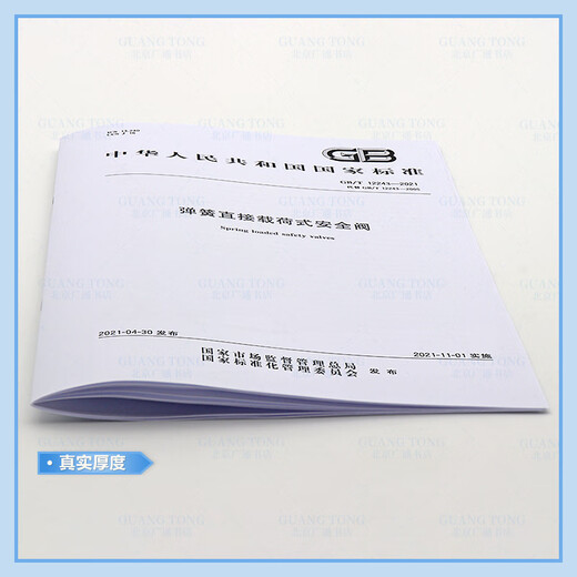 GB/T 12243-2021 Spring direct load safety valve GB/T 12243-2021 Spring direct load safety valve