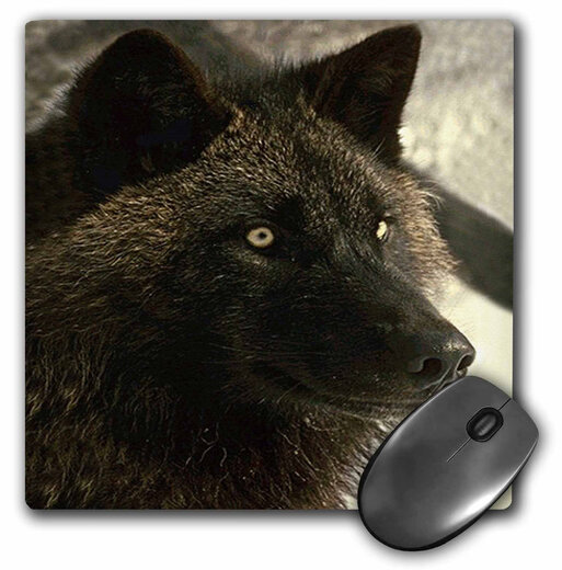 3dRose llc 20.3 x 0.6 厘米鼠标垫,Tundra wolf (mp 723 1) 3dRose llc 20.3 x 0.6 厘米鼠标垫,Tundra wolf (mp 723 1)