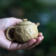 A water ore Church Hill section of this handmade teapot Ganoderma mud pots for spring toad fighting over a small pot of tea for the spring Ganoderma 100cc A water ore Church Hill section of this handmade teapot Ganoderma mud pots for spring toad fighting over a small pot of tea for the spring Ganoderma 100cc