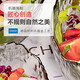 Franjing Nordic tableware, salad bowl, glass bowl, fruit plate, fruit basket, fruit bowl, fruit box, fruit plate, candy plate, dried fruit plate, glass plate, glass fruit plate, fruit box, Phnom Penh pink 3-piece set + 6 fruit forks Franjing Nordic tableware, salad bowl, glass bowl, fruit plate, fruit basket, fruit bowl, fruit box, fruit plate, candy plate, dried fruit plate, glass plate, glass fruit plate, fruit box, Phnom Penh pink 3-piece set + 6 fruit forks