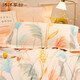 Boyang Home Textiles BEYOND four-piece cotton pure cotton simple and fresh bedding set double duvet cover, bed linen, bedding, Assen 180cm Boyang Home Textiles BEYOND four-piece cotton pure cotton simple and fresh bedding set double duvet cover, bed linen, bedding, Assen 180cm