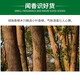 Green colleague 20 grain special installed natural camphor tone camphor strips alternative camphor pills furniture wardrobe decentralized moisture anti-mold limit Green colleague 20 grain special installed natural camphor tone camphor strips alternative camphor pills furniture wardrobe decentralized moisture anti-mold limit