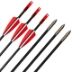 HUWAIREN Straight Pull Recurve Bow and Arrow Adult Composite Composite Suit Bow Army Fan Supplies Outdoor Equipment Shooting Bow and Arrow Set Practice Arrow 6 pcs 30 lbs HUWAIREN Straight Pull Recurve Bow and Arrow Adult Composite Composite Suit Bow Army Fan Supplies Outdoor Equipment Shooting Bow and Arrow Set Practice Arrow 6 pcs 30 lbs