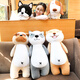 Plush toy dog husky accompany sleep doll large doll girl doll bed pillow long sleep two Ha cute little dog puppet birthday gift girls Husky 60 cm Plush toy dog husky accompany sleep doll large doll girl doll bed pillow long sleep two Ha cute little dog puppet birthday gift girls Husky 60 cm