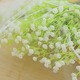 Green reed curtain mosquito screens presented widened self-adhesive Velcro mosquito gauze may be cut Pack 130 * 155cm 4 Green reed curtain mosquito screens presented widened self-adhesive Velcro mosquito gauze may be cut Pack 130 * 155cm 4