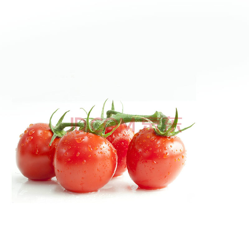 圣女果+千禧小番茄