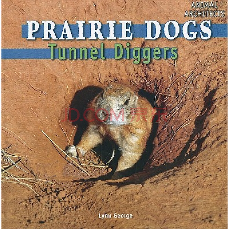 【预订】prairie dogs: tunnel diggers