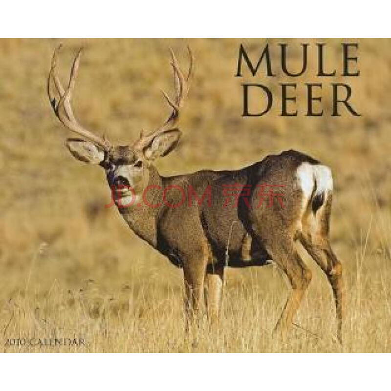 【预订】mule deer calendar