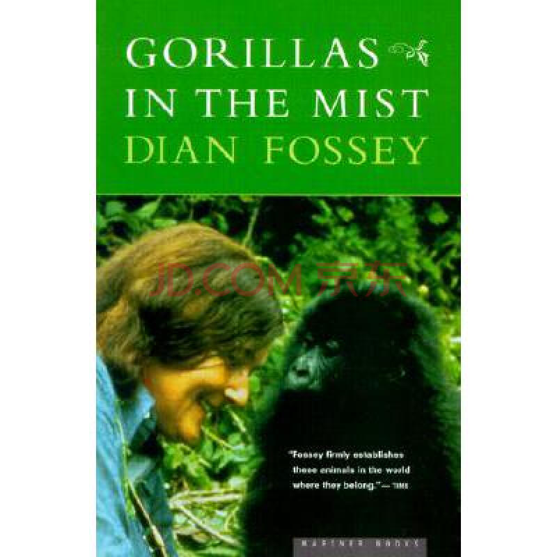 gorillas in the mist