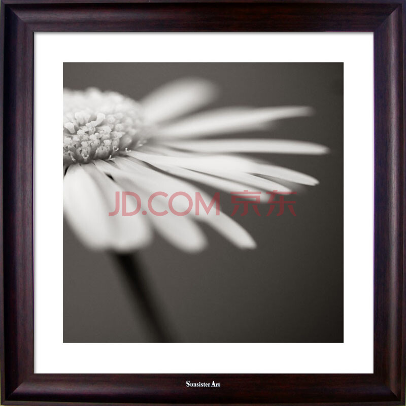 <em>太阳姊妹 装饰画</em>SVD1009 咖啡色 B 60X60cm