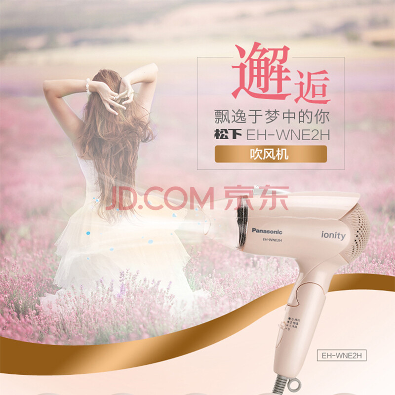 松下（Panasonic）电吹风机 家用 便携 负离子速干 恒温护发 EH-WNE2H