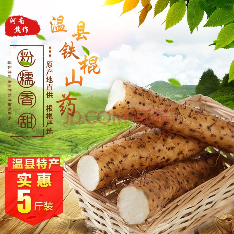 正宗温县铁棍山药河南焦作特产怀山药 新鲜山药蔬菜5斤精选