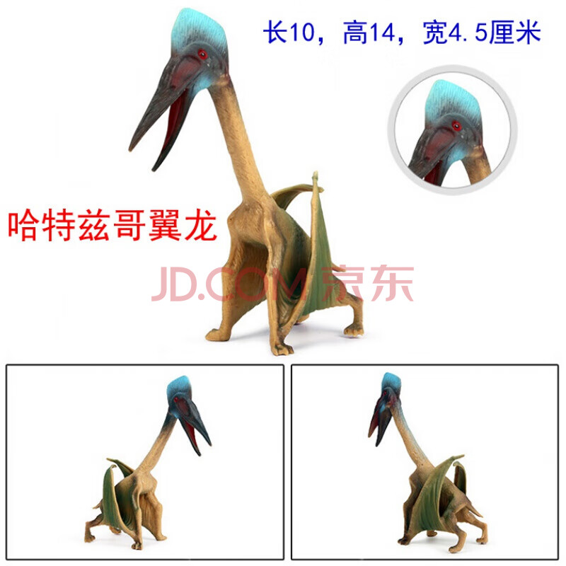 魔翼龙风神翼龙-侏罗纪儿童仿真无齿翼手龙恐龙模型 7号:哈特兹哥翼龙