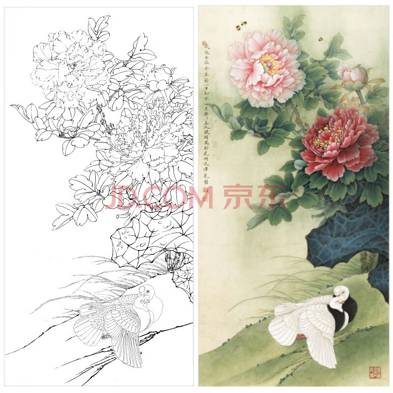 李晓明工笔画白描底稿牡丹白鸽四尺原大66×132厘米花鸟线稿带a3步骤