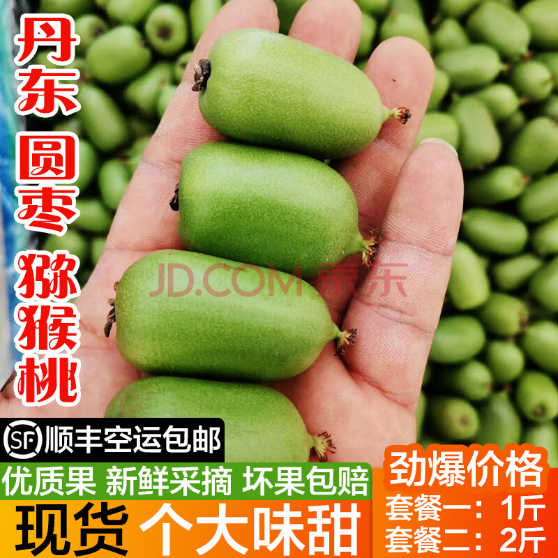 东北圆枣子丹东圆枣子新鲜软枣子小猕猴桃奇异果狗枣子4斤顺丰快递