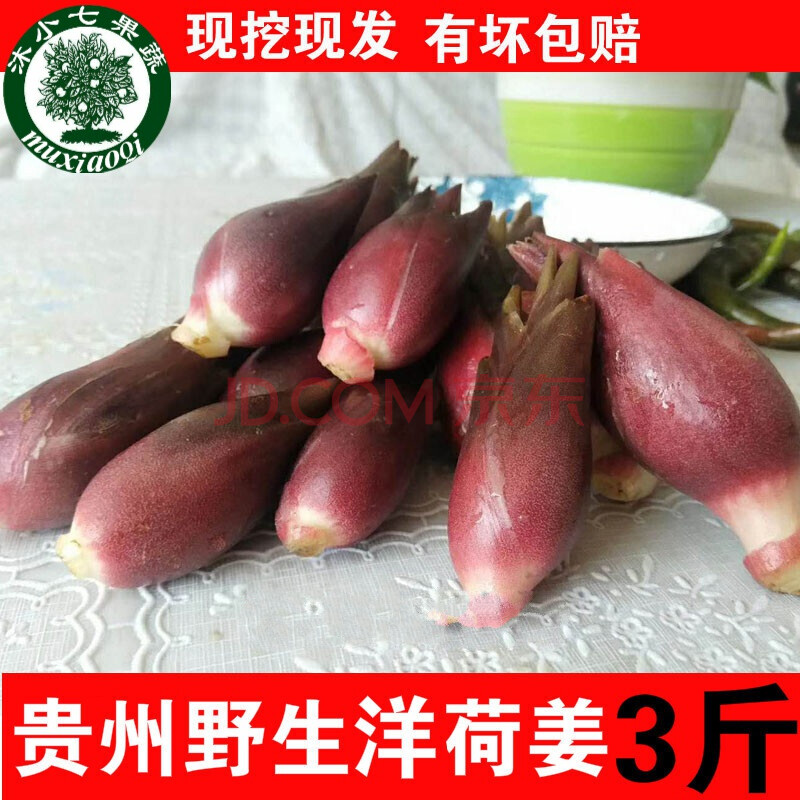 贵州洋荷姜现挖新鲜3斤装 阳荷姜野菜野外生下饭菜野生当季藿阳何茗荷