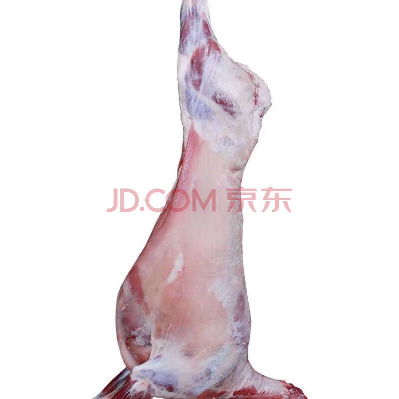 羊肉白条羊锡盟羊蝎子羊排羊腿烤全羊 25斤装(一只羊不分割)整只发货