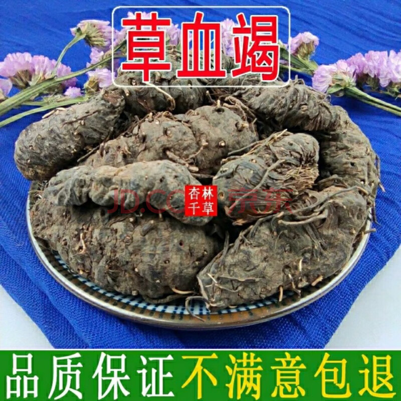 云南野生中药材草血竭老腰弓地蜂子一口血拳参250g