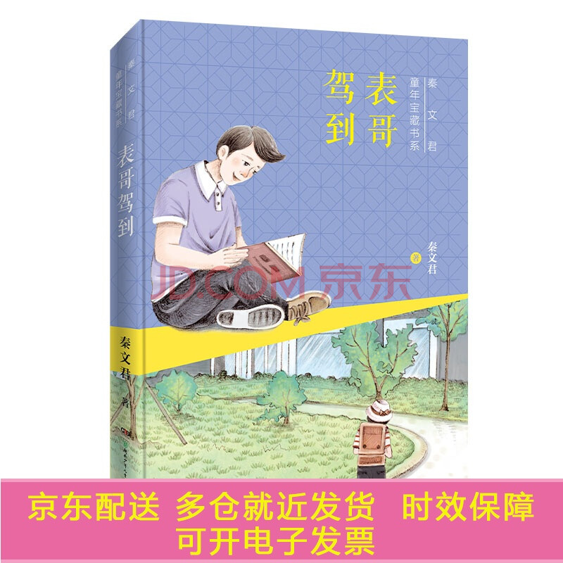 秦文君童年宝藏书系:捣蛋鬼笠笠 表哥驾到