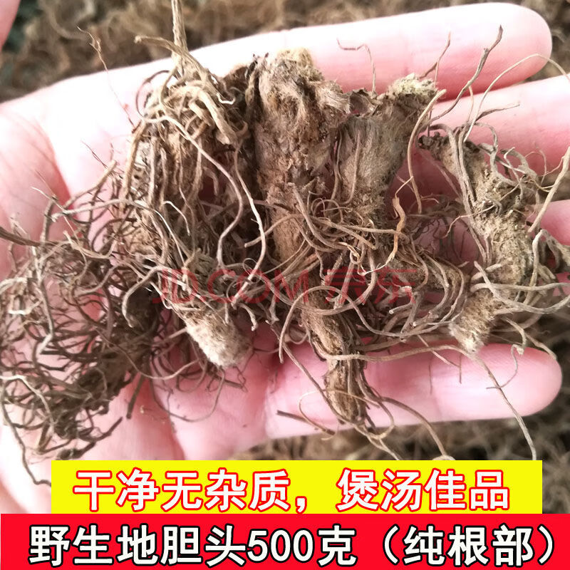 地胆头500g中地胆草根地苦胆煲汤料红花地斩头