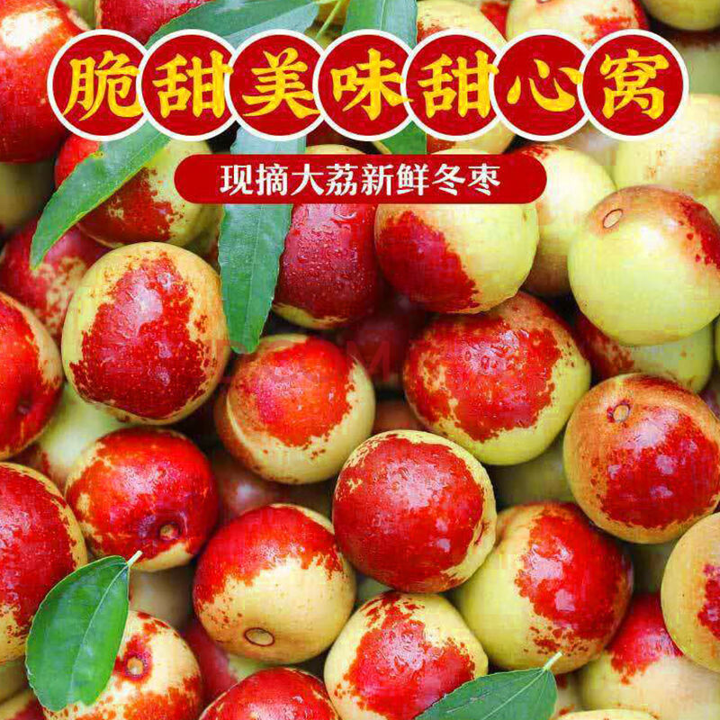 【顺丰】山东沾化冬枣脆甜大青枣子当应季孕妇水果装 大果3斤(较大)