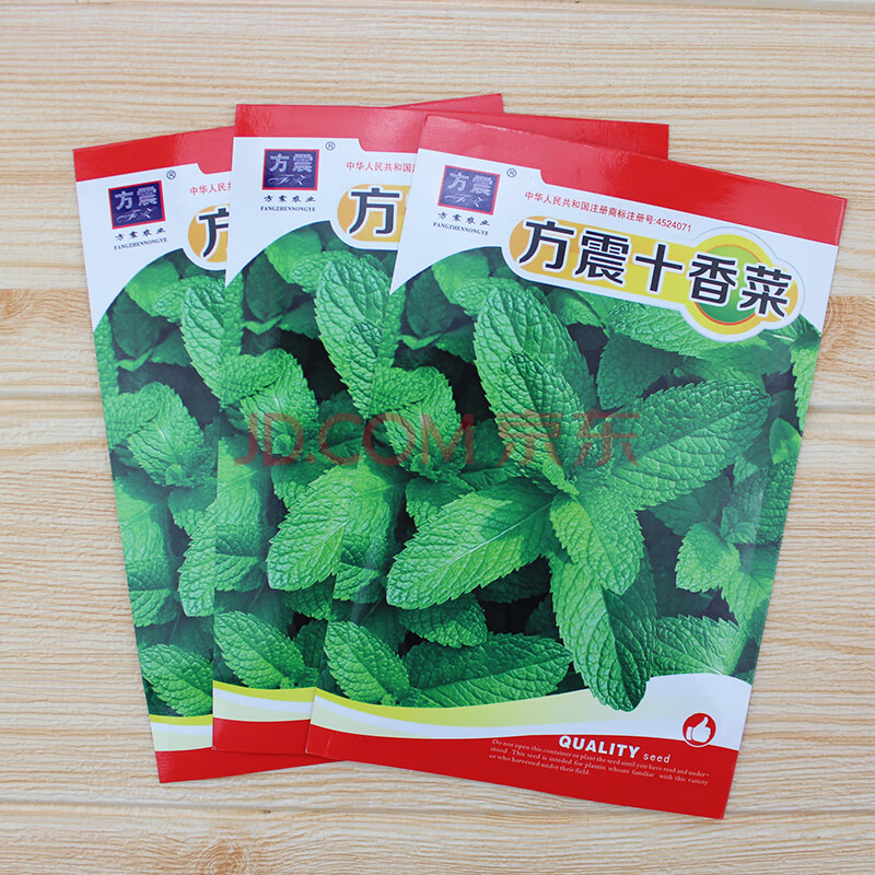 河南十香菜种子种籽石香菜薄荷食用鱼香草四季鱼香菜盆栽蔬菜种孑