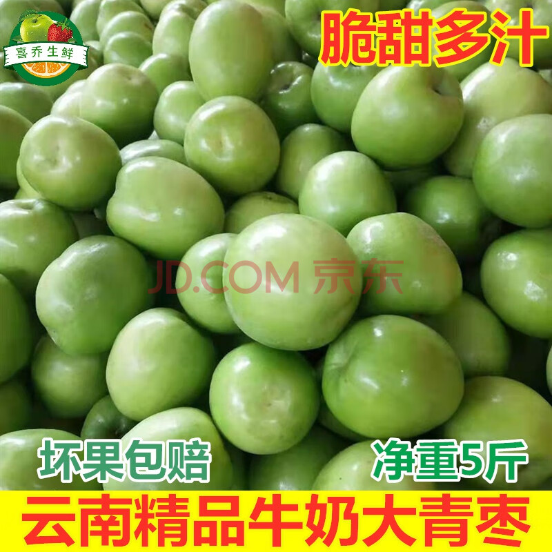 云南牛奶大青枣水果新鲜大果新鲜脆嫩清甜多汁枣子营养丰富健康美味个