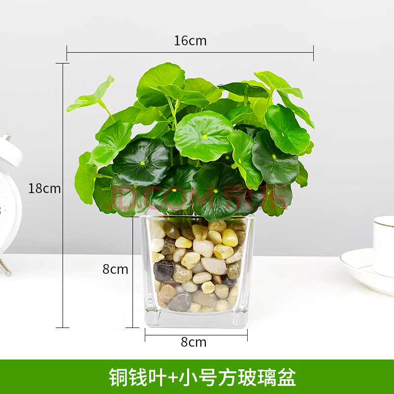 仿真植物清新假绿植摆件客厅餐桌茶几办公室小盆栽室内装饰花多肉铜钱