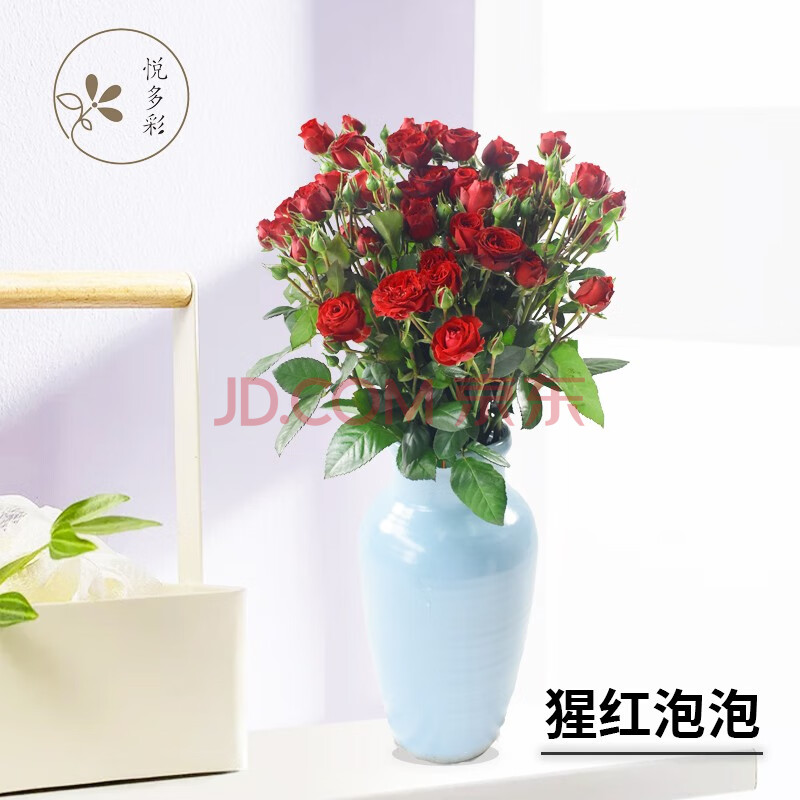 礼物 多头玫瑰鲜花家用办公室水培鲜切花 猩红泡泡多头玫瑰10枝/扎