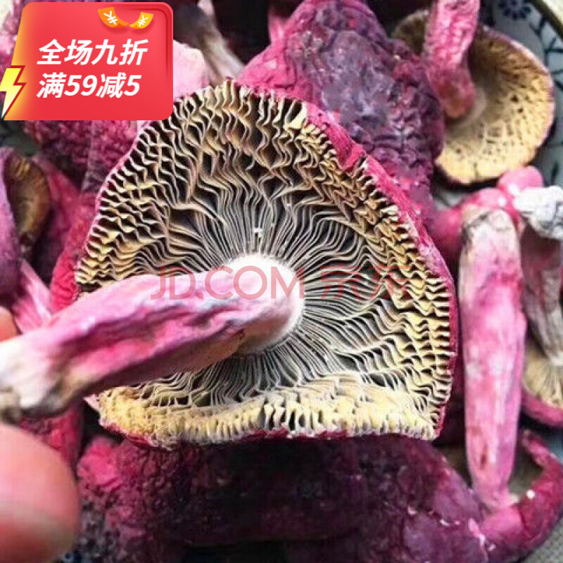 福建三明红菇干货红菇月子红蘑菇香菇菇丁250g 开伞250克