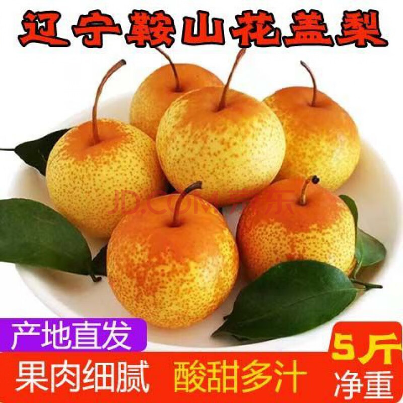 东北花盖梨 辽宁鞍山秋梨新鲜水果酸甜皮薄多汁梨子2斤5斤做冻梨