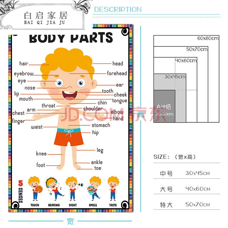 英语单词学习思维导图墙贴英语课堂学习海报双语培训教室墙面装饰 a3