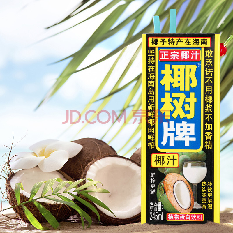 椰树椰汁正宗椰树牌椰子汁饮料饮品245ml*24盒/箱 植物蛋白椰奶