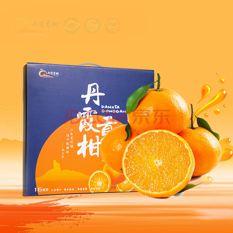 【礼盒装】丹霞贡柑5/10斤 广东韶关新鲜皇帝柑当季水果柑贡柑蜜桔