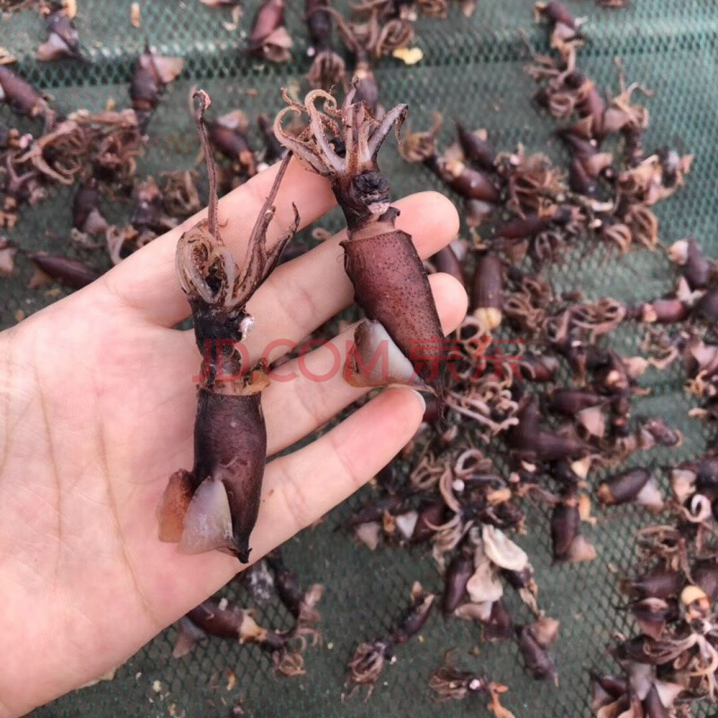 小海兔干货500g大号兔子干小鱿鱼仔乌贼笔管鱼即食墨鱼干满籽250g黑皮