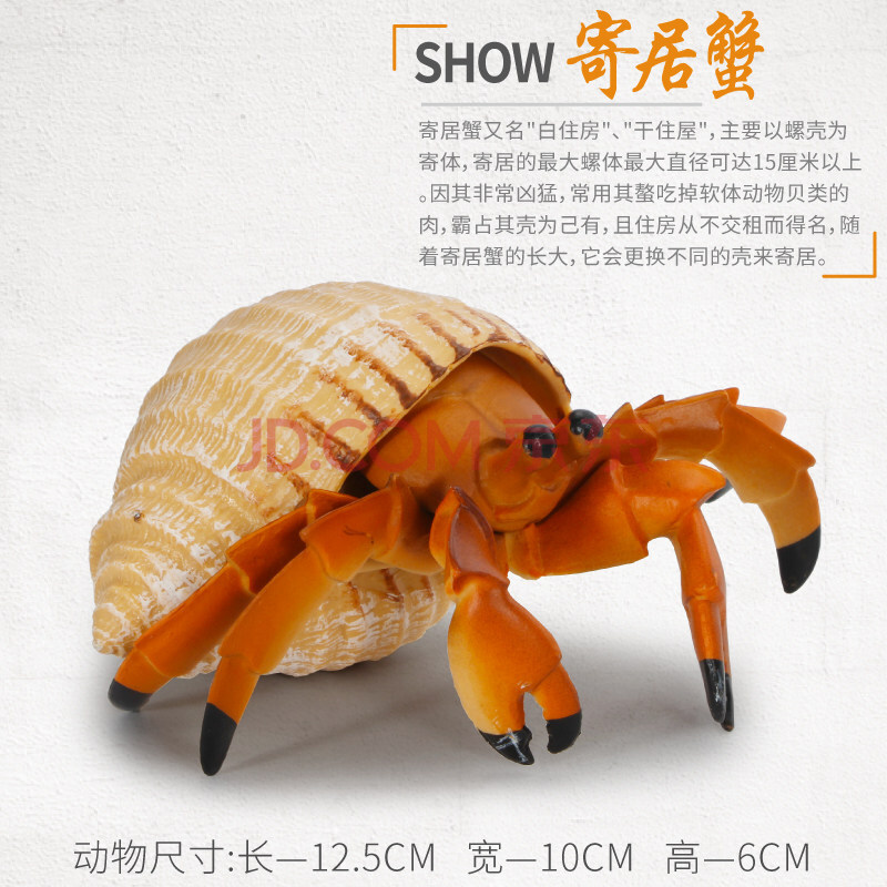 帝王蟹模型 仿真海洋海底生物玩具动物模型螃蟹寄居蟹龙莎莉蟹蜘蛛蟹