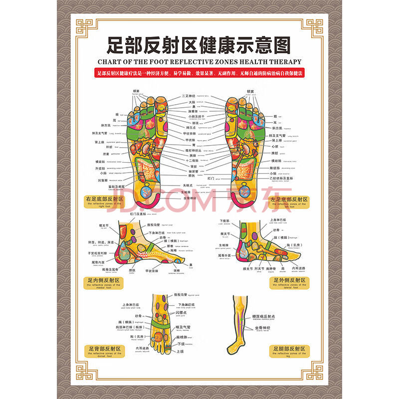 人体穴位图 挂图高清人体穴位图 全身图 中医针灸艾灸拔罐养生十二