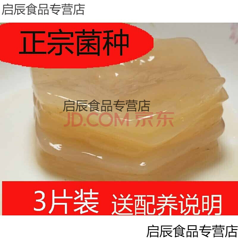 红茶菌菌种胃宝/海宝/食用菌/茶饮料/1份3片包活批发 一件【图片 价格