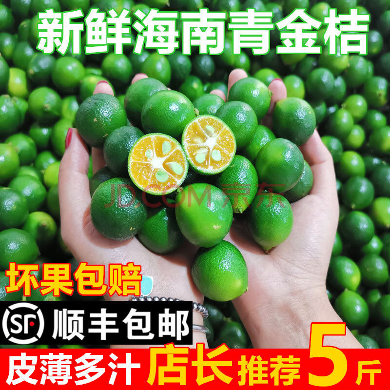 海南小金桔1/5斤新鲜青金桔柠檬小橘子奶茶店当季水果皮薄多汁 海南青