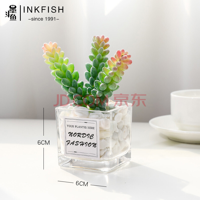 墨斗鱼 三头麦串 ins风仿真多肉植物盆栽带陶瓷花盆办公室桌面装饰