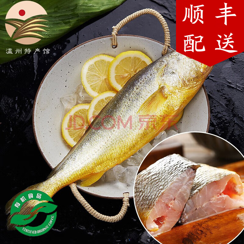 原产地 温州东海深海有机大黄鱼 冰鲜生鲜鱼类黄花鱼水产刺身品质【已