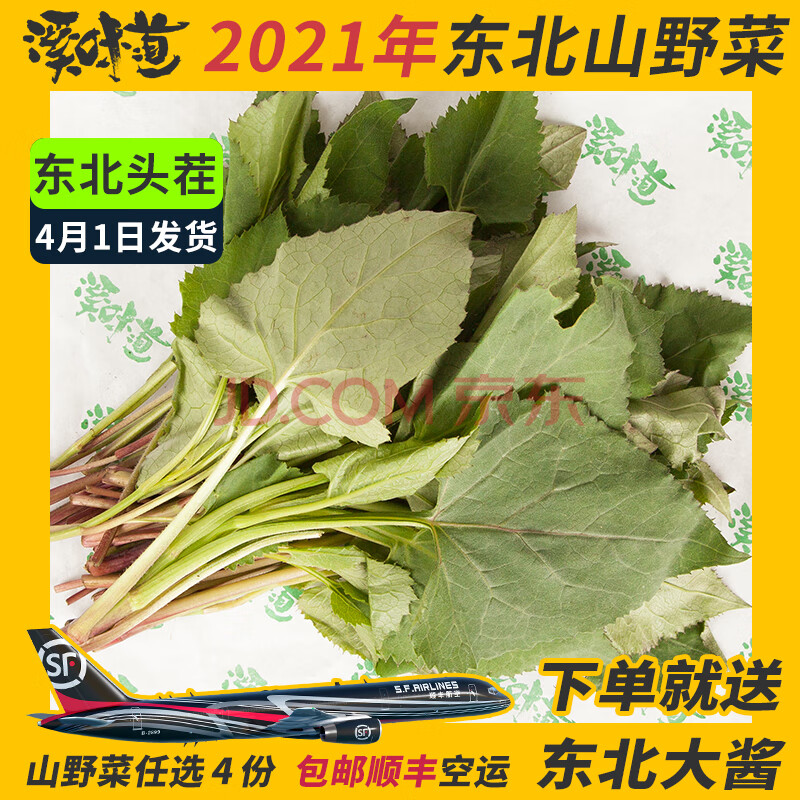 溪味道大耳毛250g真空速冻东北新鲜山野菜东风菜大耳朵毛农家蘸酱250g