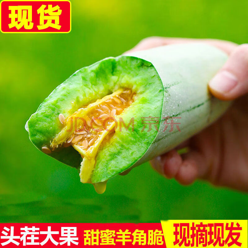 现摘头茬羊角蜜甜瓜应季水果新鲜香瓜脆瓜蜜瓜整箱批发1/3/5/10斤