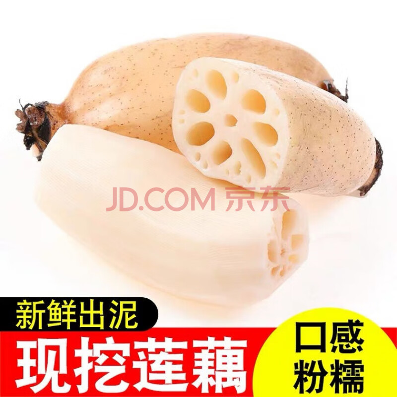 洪湖莲藕新鲜5斤粉藕蔬菜当季藕带煲汤糯米藕尖特产九孔脆藕 1000g