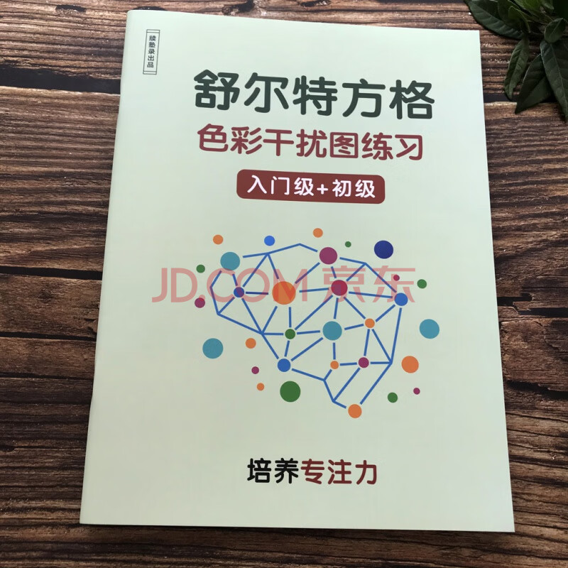 力幼儿集中神器小学生数字古诗版苏尔特 色彩干扰图版入门 初级共50页